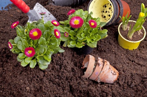 Gardeners Gipsy Hill working on a tidy front garden