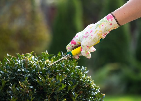 Investigation of a gardening complaint with notes