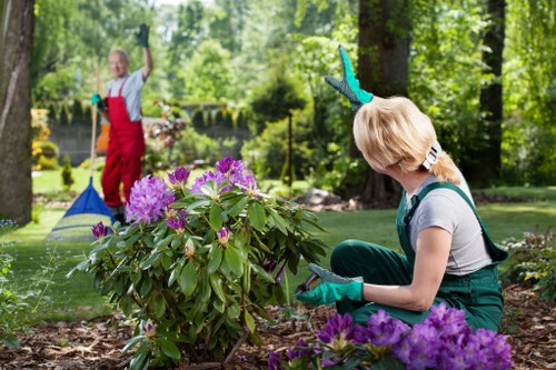 Garden service issue being recorded and assessed