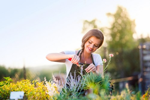 Professional garden care for lawns and borders in Gipsy Hill