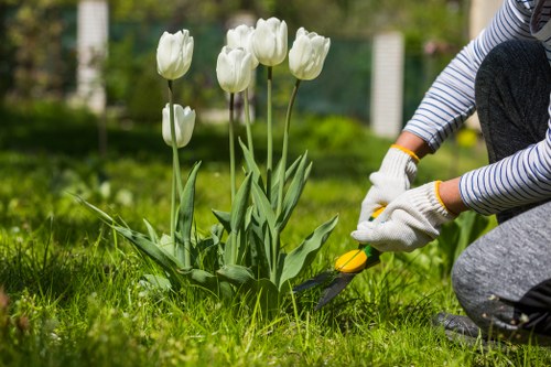 Gardener assessing a small Gipsy Hill front garden for a free quote
