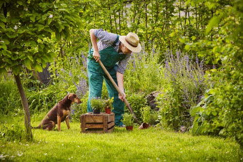 Gardeners Gipsy Hill team caring for a well-kept outdoor space