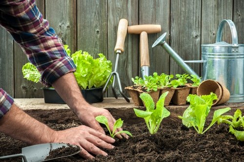 Landscape gardening design with patio and planting in Gipsy Hill