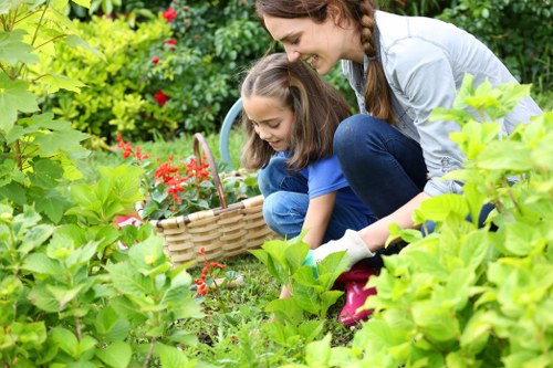 Professional garden clearance team tidying a Gipsy Hill garden