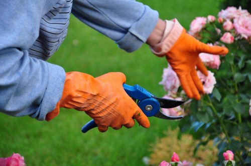 Garden maintenance work in Gipsy Hill including hedge trimming and weeding