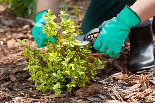 Gardeners Gipsy Hill accessibility statement introduction
