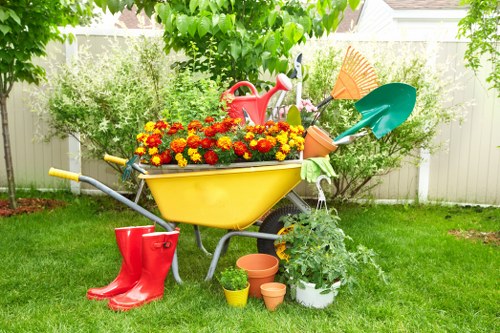 Lawn care and hedge trimming services for a Gipsy Hill garden