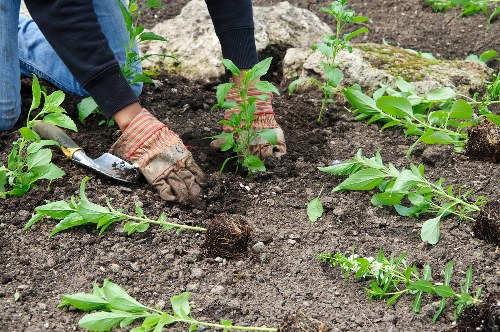 Low-carbon van used for sustainable gardening work