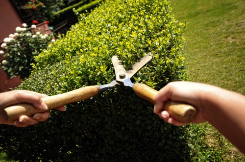 Professional gardeners using protective equipment during maintenance tasks