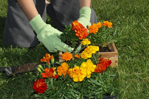 Keyboard navigation and inclusive website structure for Gipsy Hill gardeners