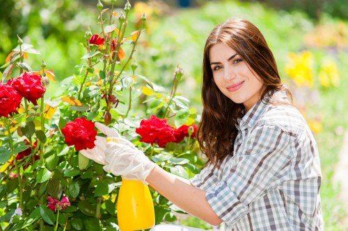 Thoughtful garden improvement by Gardeners Gipsy Hill professionals
