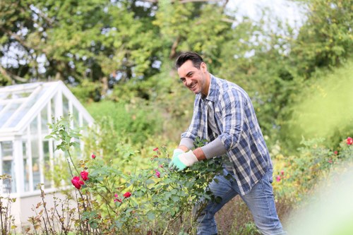 Pruning shrubs and maintaining plants in a Gipsy Hill garden