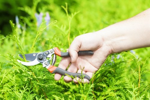 Risk assessment and PPE used by gardeners in Gipsy Hill