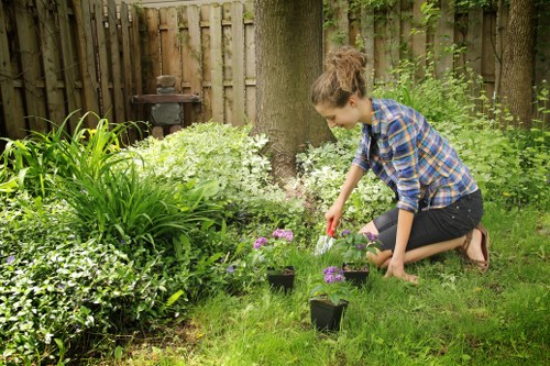 Low-maintenance garden planting and paving in Gipsy Hill