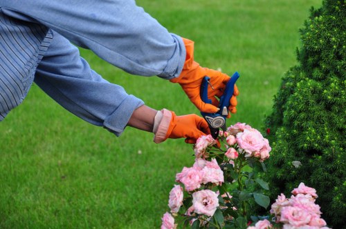 Green waste collection and recycling in a local garden project
