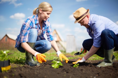 Accessibility request information for Gipsy Hill garden services