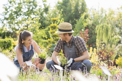 Healthy lawn care service in Gipsy Hill with neat edging and mowing