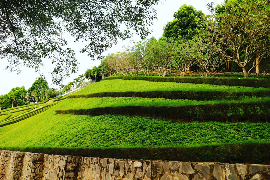 A tiered garden landscape features multiple levels of neatly maintained, vibrant green lawns separated by dark, trimmed hedges. The slopes are covered with lush grass, creating a terraced effect, and