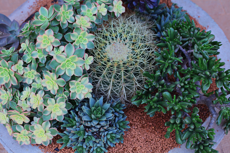 garden maintenance garden design