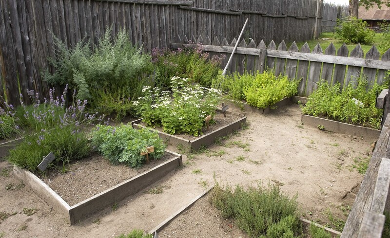 garden maintenance garden